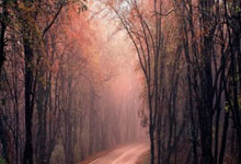 希罗17投11中&三分9中5砍下30分3板7助 连续两场砍下30+.