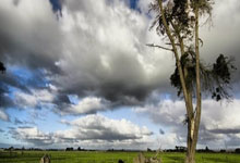 英超-萨拉赫破门梅里诺处子球 阿森纳2-2利物浦.