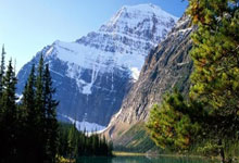 林葳劲敌现身，赵继伟不再是焦点，新对手成主角.