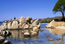 弗里克：我尊重皇马和安切洛蒂，从未有过任何负面看法.